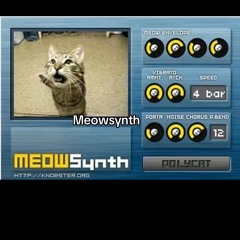 cat10 Amin_129 p.kd.mp3