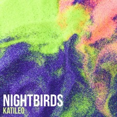 Nightbirds 33