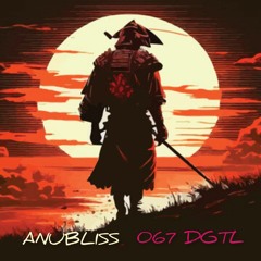 067 DGTL