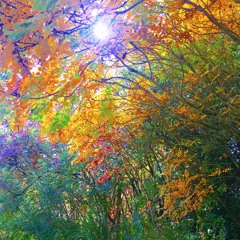 Jérôme - Milkyway Project