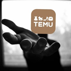 TEMU GOD (Prod.Boisensai)