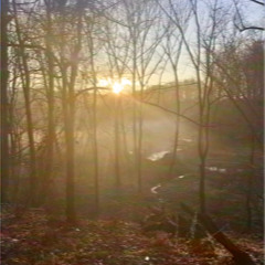 9side Ree " I said what i said "