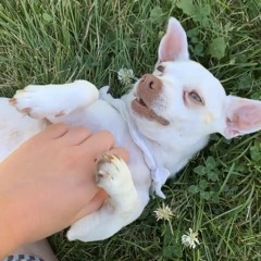 Starting To Look Like Myself (lyrics by haley may godchild)