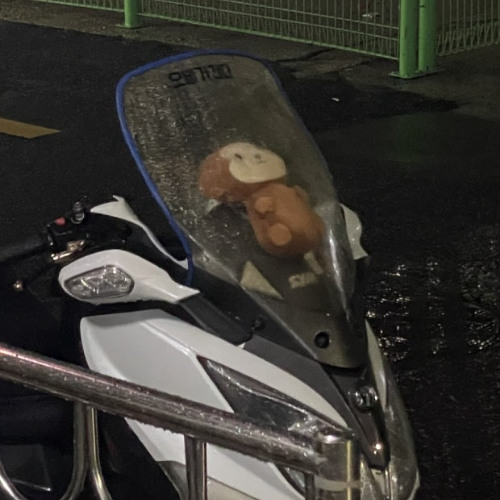 박혜원 _ 아무렇지 않게, 안녕