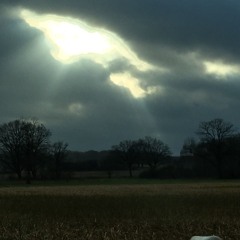 vis - Dull