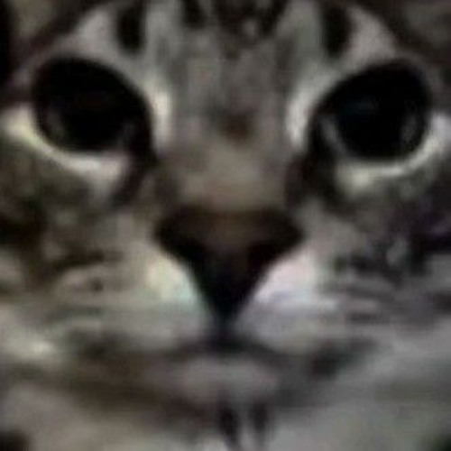 Drowning To a Wake-Up Call