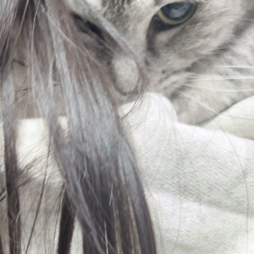 まじでごめん！