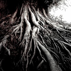 roots (prod. 1nf3xxtus)