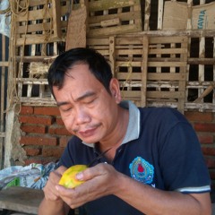 Dede Risty Best Album-Anica Nada