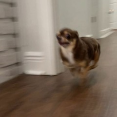 deep lo-fi house to disassociate to // vol.2