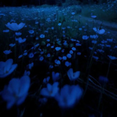 stuck in a dark place prod.bloom