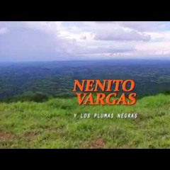 NENITO VARGAS
