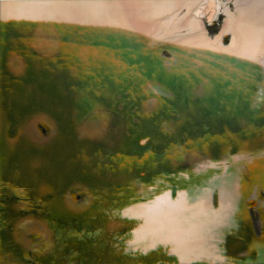 Muted Travels