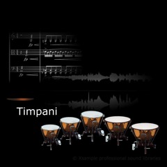 Xsample Timpani & Strings
