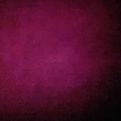 lion's gate portal  :: 08.08.2025