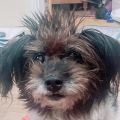 #HANGOUT2021 (prod.Code Kunst)_demo