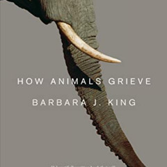 [DOWNLOAD] EBOOK 📫 How Animals Grieve by  Barbara J. King [EPUB KINDLE PDF EBOOK]
