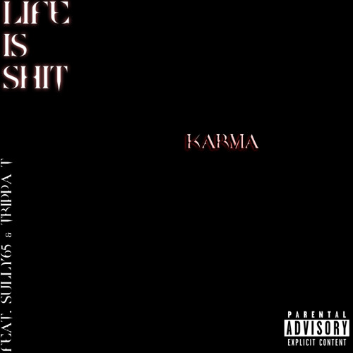 Life is shit (feat Sully65 X TRIPPA T) karma