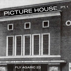 PICTUREHOUSE PART 1