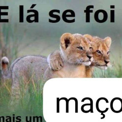 FODA-SE A MODA - FASHION CYCLING 🕶👕🩳