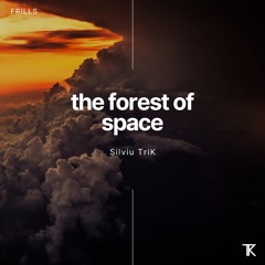 Silviu TriK - the forest of Space ( Original Mix )