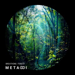 Breathing Forest