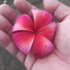 pat martinez💘Fongum ei Pwi2💋