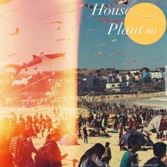 House.__.Plant 001 (Tokyo Sexwale)