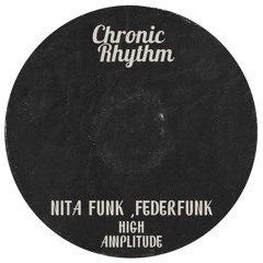 Nita Funk & FederFunk - High Amplitude (Original Mix)