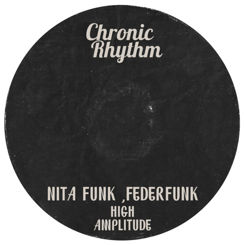 Nita Funk & FederFunk - High Amplitude (Original Mix)