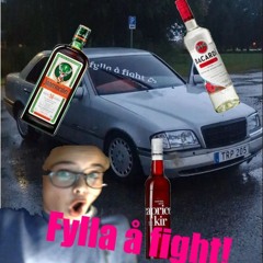 TRP FYLLA Å FIGHT Å FETA BRUDAR