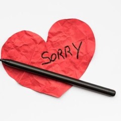 could’ve said sorry