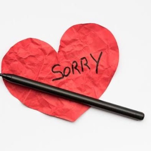could’ve said sorry
