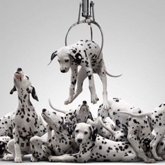 lysol prod 0lim + evilredflame