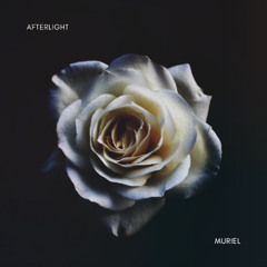 AFTERLIGHT