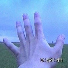 dszp::1