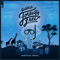 Forever Free (DeepFish Remix) [feat. Nate Highfield & SILVER]