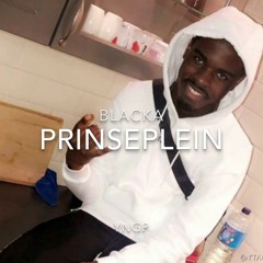 PRINSEPLEIN (GELEKT)