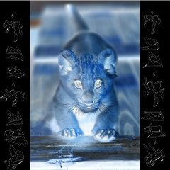 M99 - kimbaleo (2016)