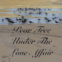 Pear tree under the love affair