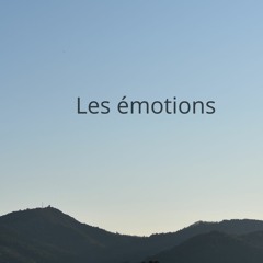 Méditation 4 🧚‍♀️ Les Émotions