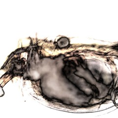 Piano Concerto Sketch