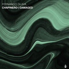 Fernando Olaya - Damaged [Auditen Music] Preview