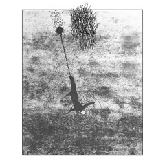 HORROR VACUI - Unexplored Territories - EP
