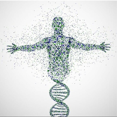 Atoms Bytes Genes