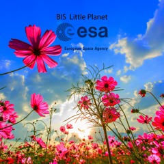 Little Planet (Original Mix)