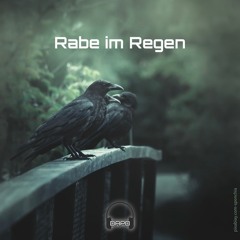 Rabe im Regen