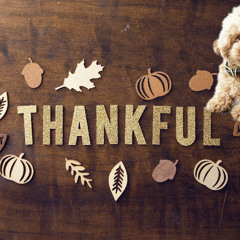 Happy Thanksgiving (Prod.Poodle Dior)
