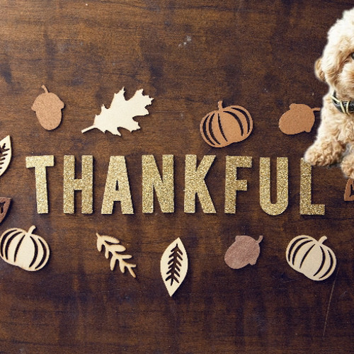 Happy Thanksgiving (Prod.Poodle Dior)