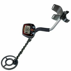 metal detector type beat